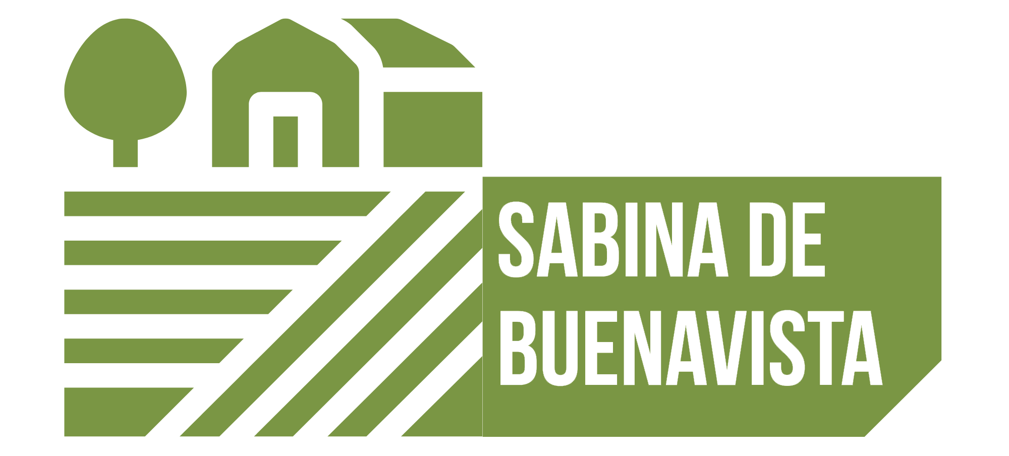 Sabina de Buenavista del Norte